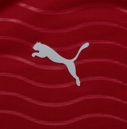 Portugal Home Kit 2026-27 (Fan Version)